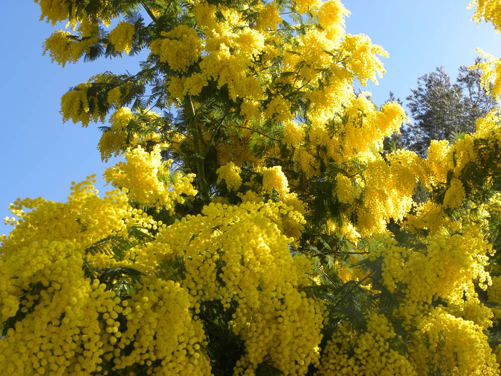 Provence Var Camping